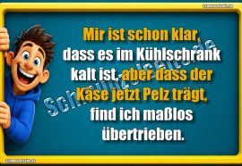 Im Kühlschrank