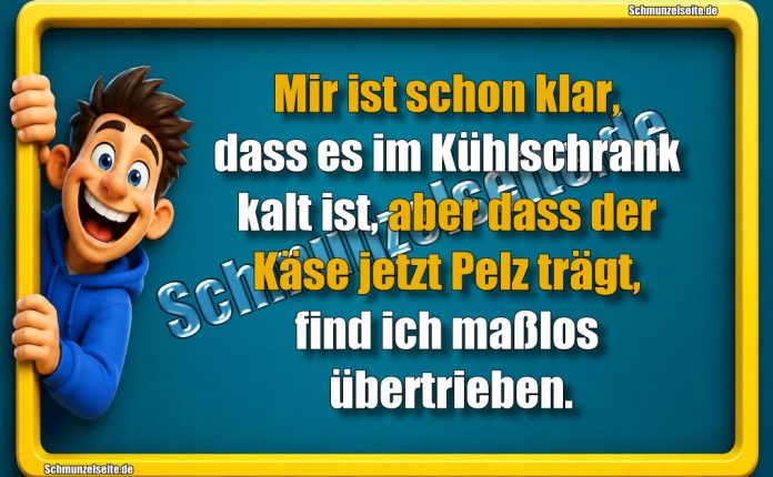Mir ist schon klar, dass es im Kühlschrank kalt ist, aber dass der Käse jetzt Pelz trägt, find ich maßlos übertrieben.