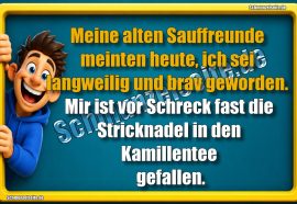 Meine alten Sauffreunde meinten heute, ich sei langweilig und brav geworden. Mir ist vor Schreck fast die Stricknadel in den Kamillentee gefallen.