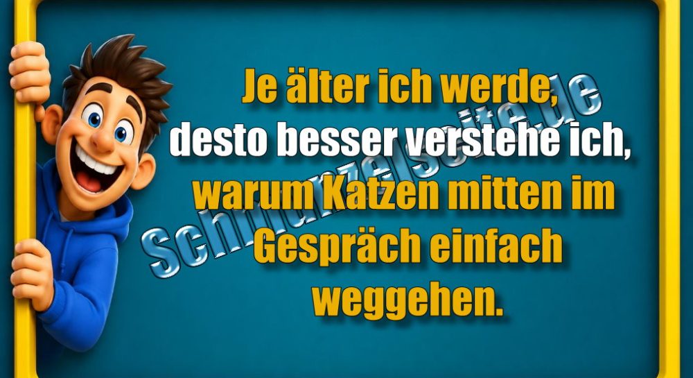 Je älter ich werde, desto besser verstehe ich, warum Katzen mitten im Gespräch einfach weggehen.