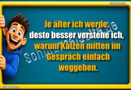 Je älter ich werde, desto besser verstehe ich, warum Katzen mitten im Gespräch einfach weggehen.