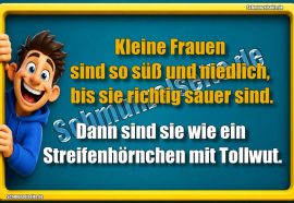 Kleine Frauen sind so süß und niedlich, bis sie richtig sauer sind. Dann sind sie wie ein Streifenhörnchen mit Tollwut.